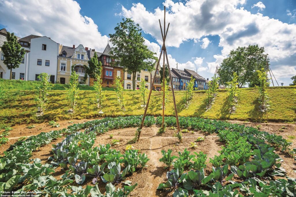 Essbarer Garten im Zentrum von Andernach